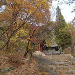 <b>시몬</b> 보라매 데이트, <b>시몬</b> 보라매 병원, <b>시몬</b> 보라매 공원 데이트