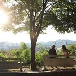 11월 추천 출사지, 도산공원+설화문화전 / 하늘공원 / 낙산공원~~~...
