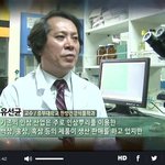 <b>새싹</b> 삼이 그렇게 좋다면서요