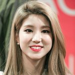 [라붐] 레드벨벳 슬기닮은꼴 직찍