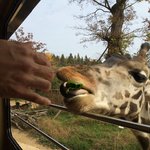 에버랜드로스트<b>밸리</b>훈남안내원