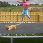 [댓글부탁] 이거 해석 좀 해줘