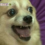 [EXO] 디쏘<b>패치</b>에 걸리지만 마라