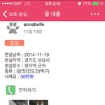 백구를 찾습니다.