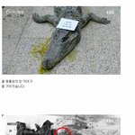 [추억파리여] 동물원의 <b>동물</b>들이 죽는이유
