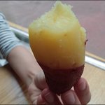 <b>위즈</b>메디칼? <b>위즈</b>메디컬?