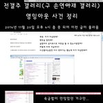[꼭봐주세요] 손연재 갤러리 운영자가 김연아 악플러