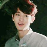 [EXO] 최애 민석 차애 찬열 은근있던데