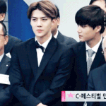 [EXO] 카이세훈 실물보고 놀란거