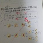 [exo] 아이거 제발좀 알려주면안되냐ㅠㅠㅠㅠㅠㅠ