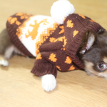 [쪼꼬] 하..  심쿵했다 <b>내새</b>킹..