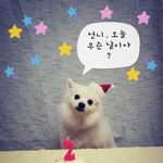 우리 <b>연우</b>가 2살이 됐어요~!^^