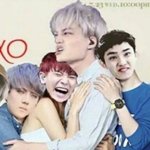 [EXO] 본인이 쓴 글 한 행동 다 더 큰 <b>불행</b>으로 부메랑이 되어