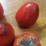 [EXO] 와시발쥐새끼가우리<b>집감</b>먹음