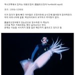 [oc8] 멕시코 홈볼트오징어의 <b>위엄</b>