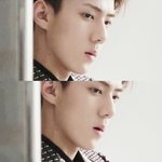 [EXO] 너넨 이상형이 어떻게되???