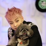 [EXO] 민석이최애들아