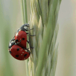 [oc8] <b>현란</b>한 테크닉