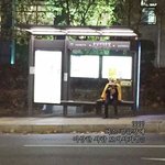숭실대 버스정류장에서 신기한거봄