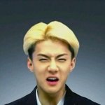 [EXO] 디소 믿는애들아 이게 ㄹㅇ반응임