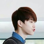 [EXO] 당연히 콩콩이라고 부르지않음??