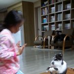 [메로메로] 메로메로-4탄