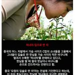 [oc8] "<b>처녀</b>차"라고 아시나요?