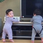 서언,<b>서준</b>이에게 위글위글이란?