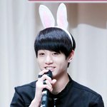 토끼 <b>빙의</b>한 귀여운 아이돌들