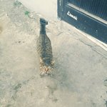 [EXO] 할머니가 <b>연탄불</b>에 생선구웟는데