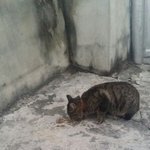 [EXO] <b>생선</b> 먹고 남은거 줫는데