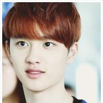 [<b>엑소</b>] exo-<b>k</b>(디오)관상