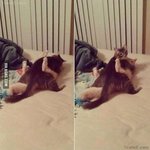 [oc8] 오빠 누가 <b>보자나</b>