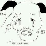 [EXO] 진심 승무원될려면 이뻐야되냐고 묻는거는