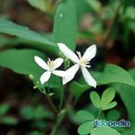 [EXO] 에뛰드 내일 <b>1+1</b>행사 ㄷㄷㄷㄷㄷㄷ