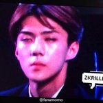 [EXO] 그냥 세훈이는 가만히있었어야되