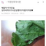 [oc8] 핵<b>직구</b> 甲