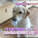 마음으로 보는 사진들..84