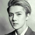 [exo] 엑소 팬사랑 순위.<b>txt</b>