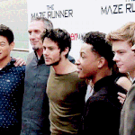 [뉴트] 아,,,스,벤,우 사장 부럽다,,,