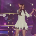 [EXO] 에이핑크 개 가까이서 봤는데 사진ㅇㅇ