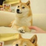 [EXO] 투표안한애들은 존나 눈치라도 안보이나?