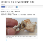 [널스토리] 곱창<b>맛집</b>의 비밀