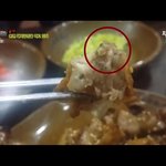 [널스토리] <b>돼지</b>곱창의 비밀