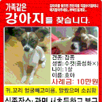 [도와주세요] 경기<b>광명</b>]아이를 잃어버렸습니다..