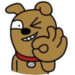 [EXO] 엑소가 좋아하는 팬들 스타일?