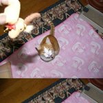 [oc8] <b>얼음</b> 땡!ㅋ