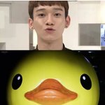 [exo] 첸 까는 돼지년 병먹금하라고;