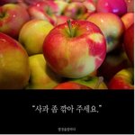 [널스토리] 사과 좀 깎아 주세요