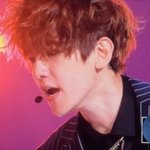 [EXO] 엑소 <b>투탑</b> 최근